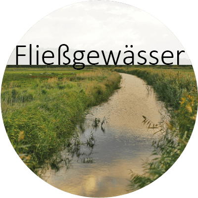 Logo Thema Fließgewässer